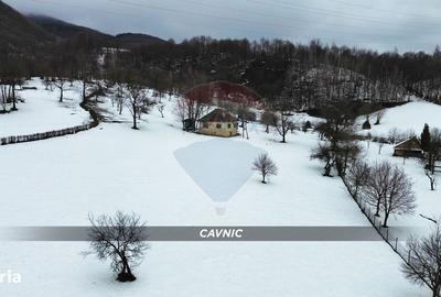 Spațiu comercial, în Central - 7