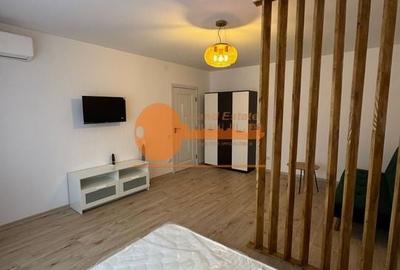 Studio Lujerului-Virtutii ( 1 minut tramvai- 8 minute metrou ) - 1