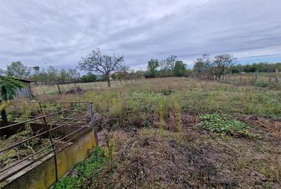 Casă cu Teren 4657 Mp în Șoșdea - 13