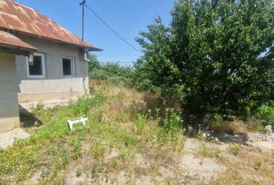 MAHMUDIA-TERENURI SI CASE - 16