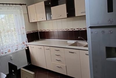 Apartament cu 2 camere în Paltiniș - 4