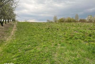 Teren de 4000 mp, în Grajduri - 2