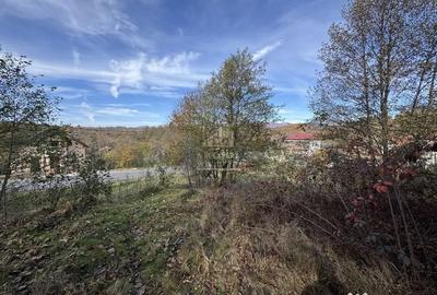 Teren de 13167 mp, în Bughea de Sus - 12