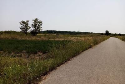 Teren Construcții intravilan de 4546 mp, în Corbeanca