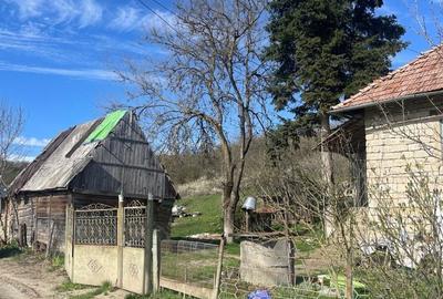 Casă cu 4 camere în Șoimeni - 8