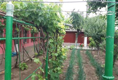 Casă cu 4 camere în Central - 3