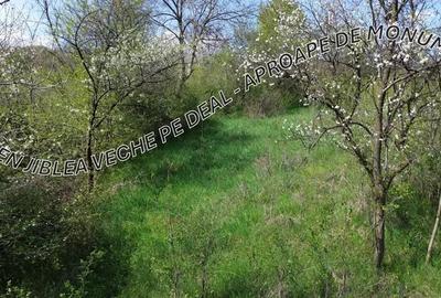 Teren de 2278 mp, în Jiblea Veche - 3