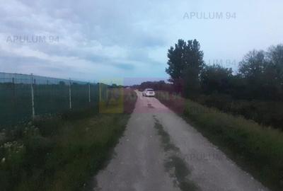 Teren aproape de Bucuresti langa padure între case - 8