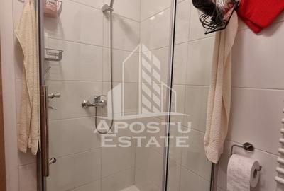 Apartament cu 2 camere semidecomandat în Buziașului - 3