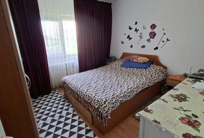 Colentina,Rau Fundeni,Maior Vasile Bacila - 6