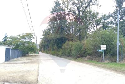 Teren Construcții intravilan de 2501 mp, în Ghermănești - 5