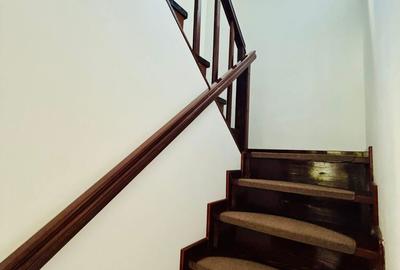 Casă cu 4 camere cu Teren 5500 Mp în Pojorâta - 3