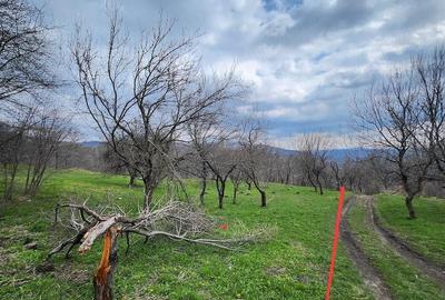 Teren de 4400 mp, în Vatra Satului - 5
