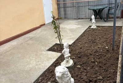 Casa de inchiriat - 7