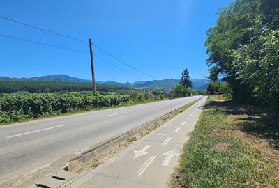 Teren Construcții intravilan de 2107 mp, în Rășinari