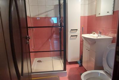 Apartament cu 3 camere decomandat, mobilat în 1 Mai - 19