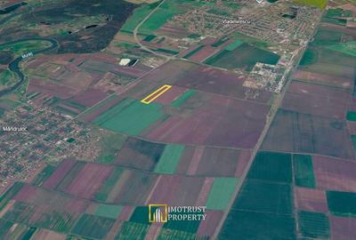 Teren agricol extravilan de 10500 mp, în Exterior Est - 3