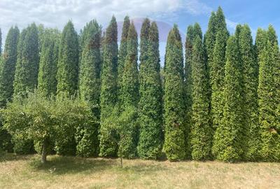 DE VANZARE Vila de vacanta in Pucioasa /Dambovita - 43