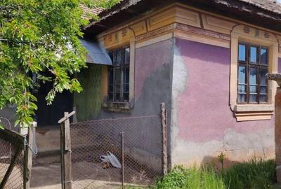 Casă cu 3 camere cu Teren 2800 Mp în Calea București