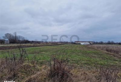 Spațiu comercial, în Borș - 1