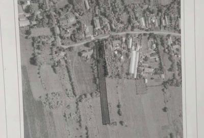 Spațiu comercial, în Merii Petchii - 3