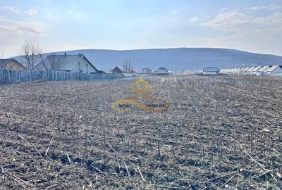 Teren Construcții intravilan de 3600 mp, în Hemeiuș - 2