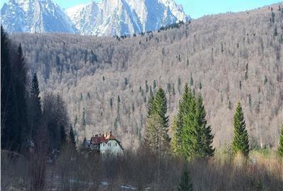 De vanzare teren intravilan AZUGA - 2