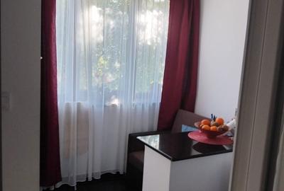 Garsonieră semidecomandată în Brazda lui Novac - 1