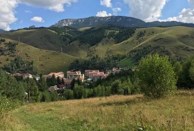 Teren vanzare Sandominic (Balan), Harghita - 8