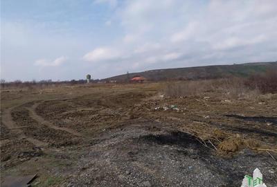 Teren intravilan de vanzare 28.200 mp Bucuresti Sector 6 - 11