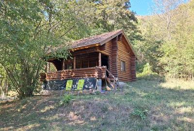 Vand cabana Valea Ariesului - 7