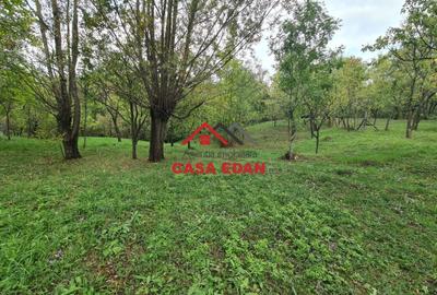 Teren intravilan in Sotrile--5991mp--10e Teren intravilan in Sotrile--5991mp--10e - 10