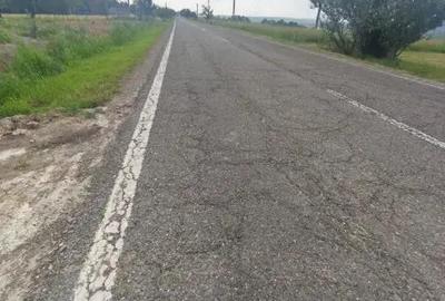 Casa+teren 5000mp, 70ml la DN 2E, zona Cacica, Radauti - 3