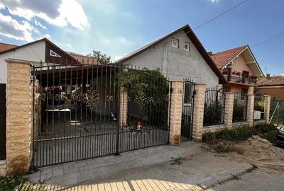 Proprietate cu 2 case Satu Mare Botizului