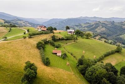 10.335 mp + imobil, splendoare si regasire in mijlocul naturii, Poiana Marului - 4