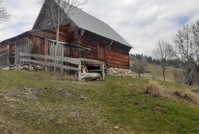 Casă individuală cu 2 camere cu Teren 36500 Mp în Albac - 2