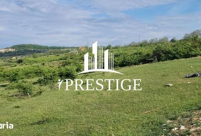 Teren de 2000 mp, în Trei Stejari - 20