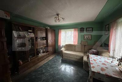 Teren 3000 mp + 2 case de vanzare-Ca?eiu - 9