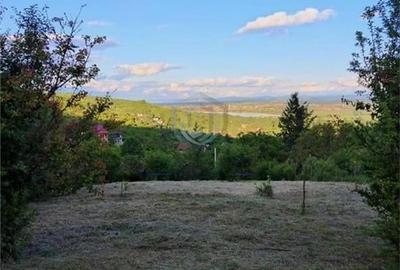 Teren Intravilan, Podgoria - 5