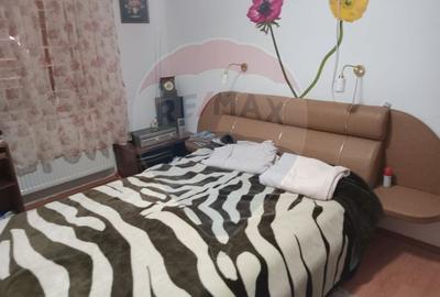 OCAZIE!!! CASA SUPERBA cu teren in JULITA jud Arad in M tii Zarandului - 12