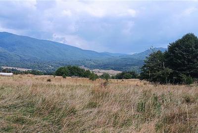 Teren de 5050 mp, în Nucșoara - 9
