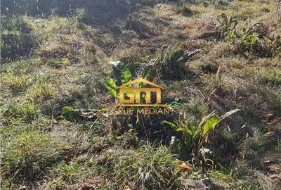 Teren 1780,92 mp in Olanesti-Bai - 4