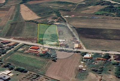 Casă cu 2 camere cu Canalizare în Borșa - 3