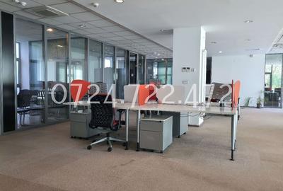 Splaiul Unirii 223, Bucuresti, proprietar - 11