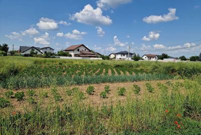 Spațiu comercial, în Bălăceanca - 3