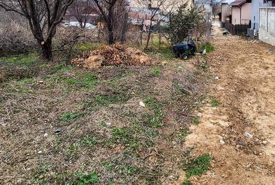 Teren Intravilan Prundu Mic Pitesti - 4