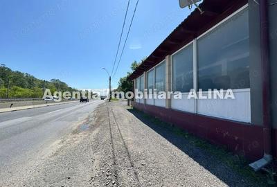 Spatiu comercial spre iesire din Loc. Deva (spre Mintia) zona Izvorul Decebal, Jud. Hunedoara. - 6