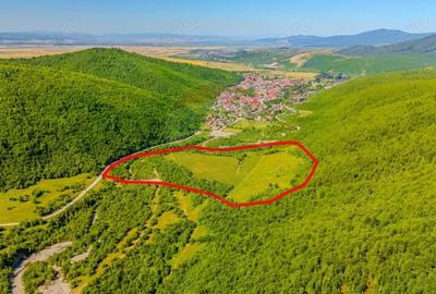 Teren 128.000 mp-Sacele-zona Garcini/ Intravilan/ COMISION 0% - 4