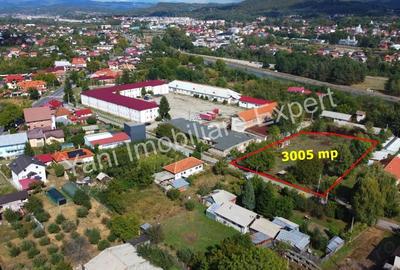 Teren de vanzare in Curtea de Arge?. - 11