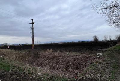 Teren agricol extravilan de 50000 mp, în Hălchiu - 7